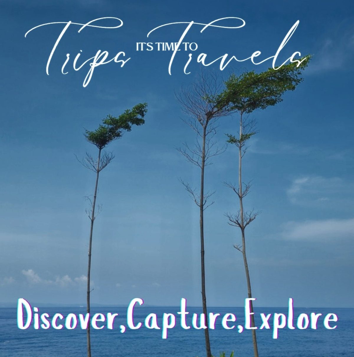 Traveler's Diary : Beauty and Architecture